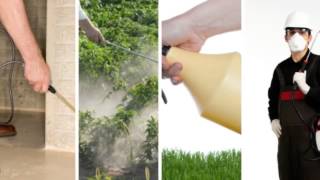 Pest Control Tavares, FL (352) 327-9375
