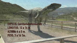 RUTA 4 CORNAGO- LOS CAYOS- CACIOTE- EL COLLADO -CORNAGO