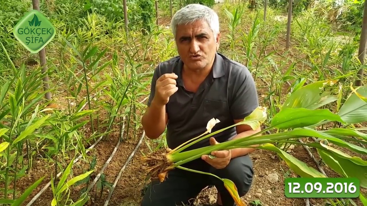 Bir saatin kronografı bir gereklilik veya modaya bir haraç mı 30