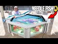 Catching tons of baby needle fish to stock my backyard saltwater mini pond school of needlefish