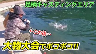 足柄CAで大物大会したら特大サイズが釣れまくった！【管理釣り場】【エリアトラウト】【足柄キャスティングエリア】