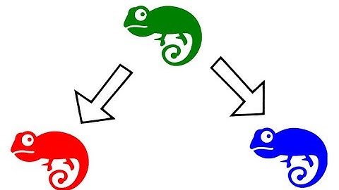 243 Chameleon riddle