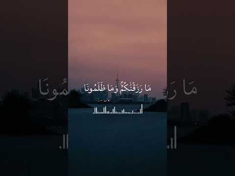 وظللنا عليكم الغمام وانزلنا عليكم المن والسلوى