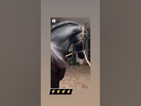ОТ МИСАН ОТ ЭКАН - YouTube