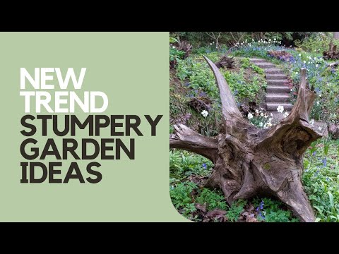 Video: Using Stumpery In Gardens: How To Make A Stumpery For Insekte