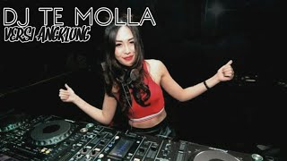 DJ TE MOLLA VERSI ANGKLUNG SLOW FULLBASS NEW 2020