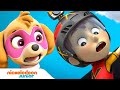 Paw Patrol : La Pat