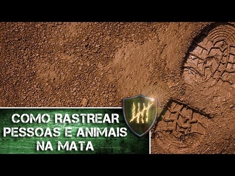 Vídeo: Como Encontrar Uma Pessoa Na Floresta