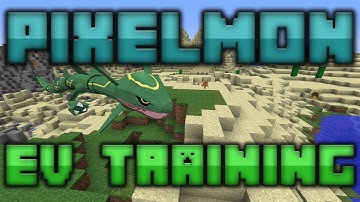 HOW TO EV TRAIN IN PIXELMON! || Pixelmon Tutorial