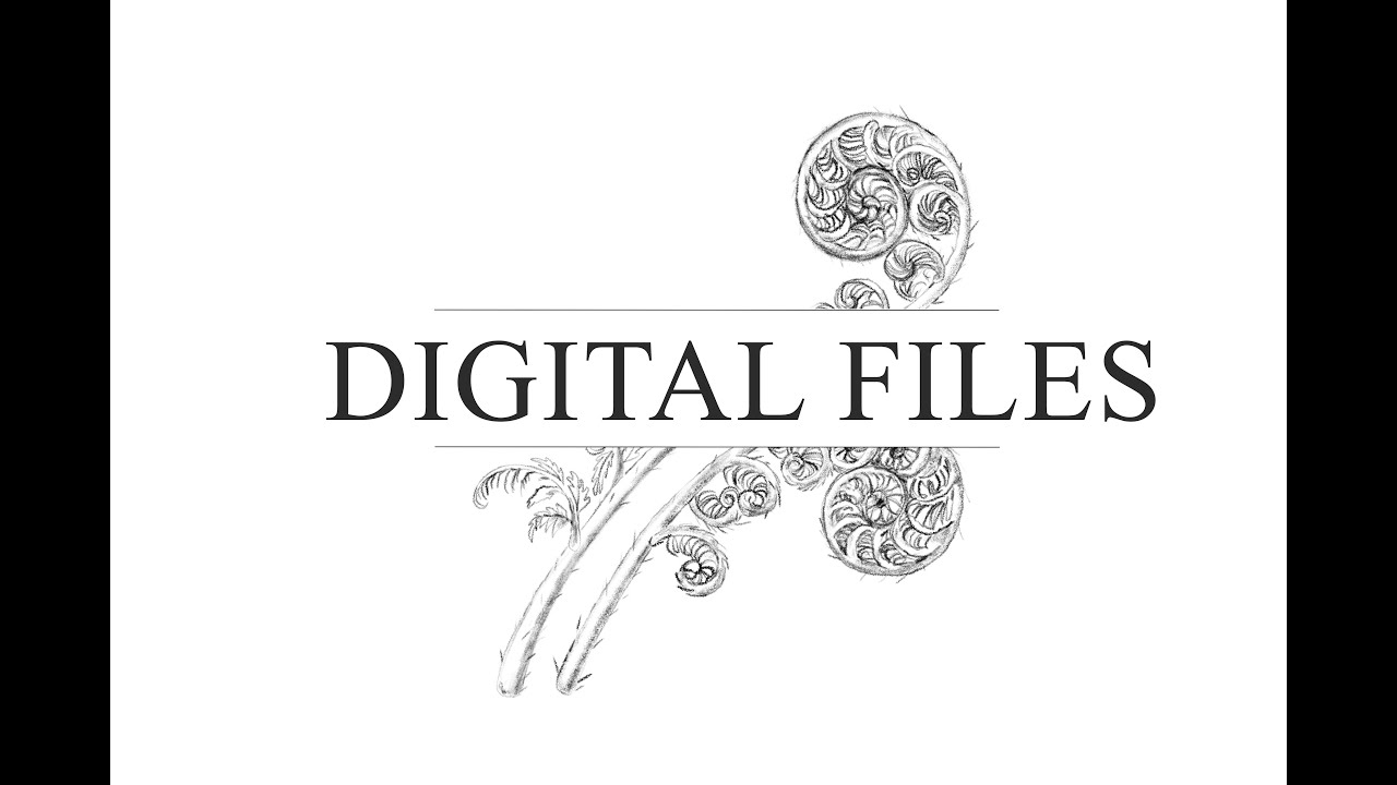 DIGITAL FILES YouTube digital-files-youtube