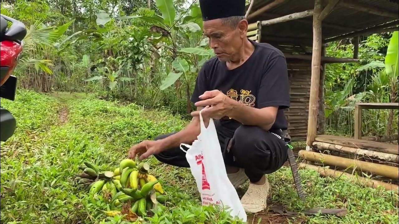 SEHARIAN DI KEBUN SEHARIAN DI KEBUN