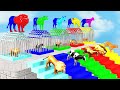 Paint Animals Gorilla Cow Lion Elephant Dinosaurs Dragons and T-Rex Fountain Crossing Animal Cartoon