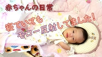 モロー反射 Youtube