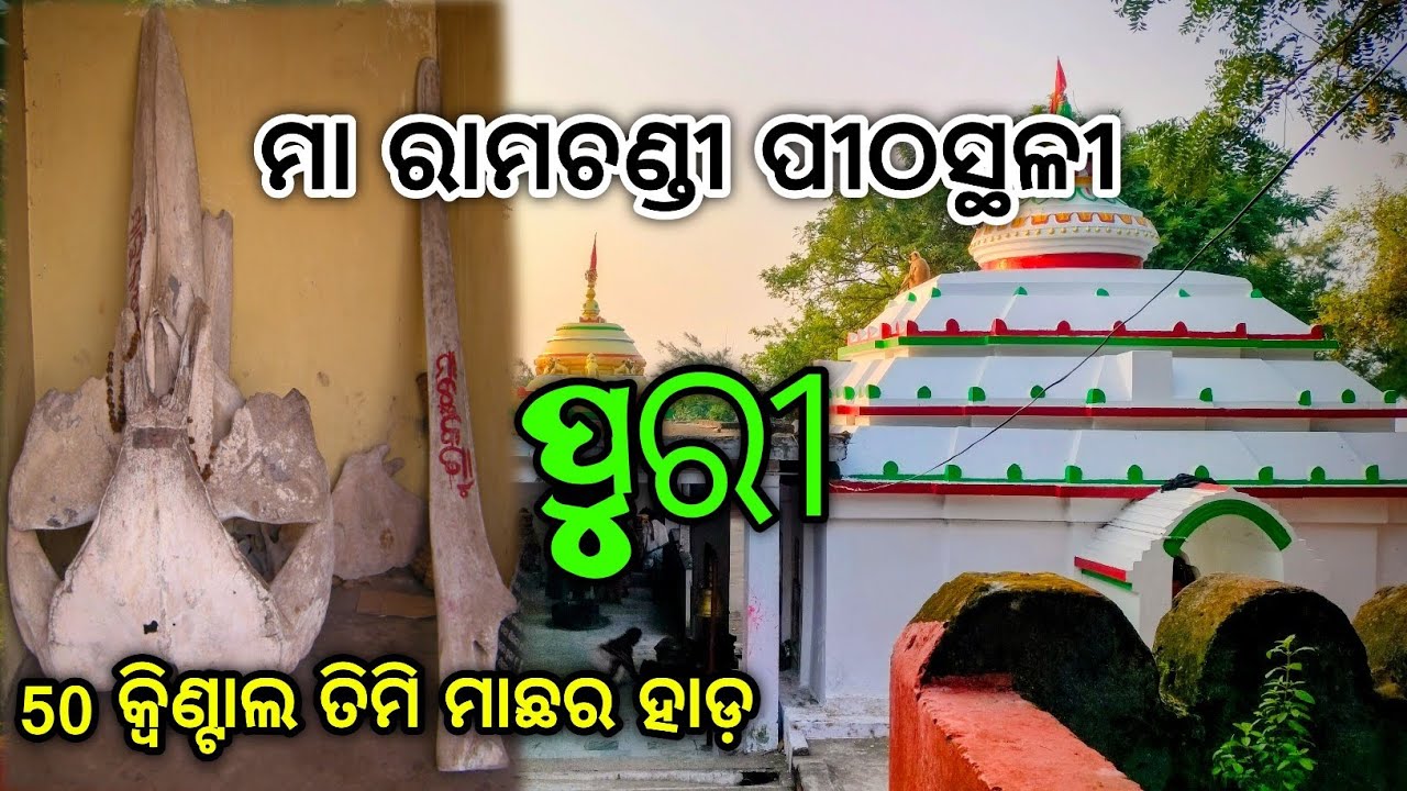 Maa Ramchandi Temple //Puri , ମା ରାମଚଣ୍ଡୀ ମନ୍ଦିର,50 କ୍ୱିଣ୍ଟାଲ ତିମିମାଛ ର ହାଡ଼ ଏଠାରେ ଅଛି 