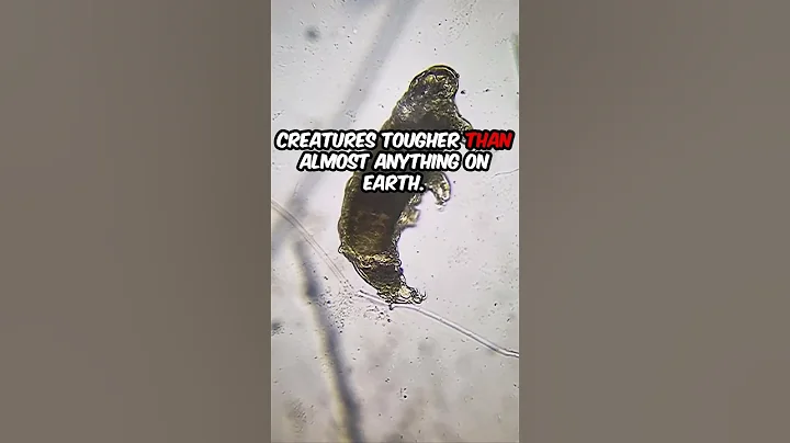 The Animal That Survives Space! #shorts