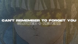 Shakira & Rihanna - Can't Remember To Forget You (Slowed + Reverb) Resimi