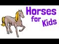 Cuestionario sobre Caballos