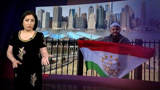 картинка: Парвизи амрикоӣ: 