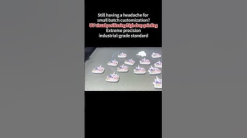 Wanna a medium size uv printer with CCD(camera)?