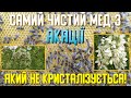 Рекордний взяток на акації 2021!