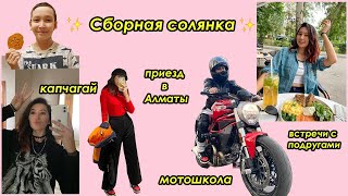 август, сентябрь, октябрь в 30 минутах // VLOG