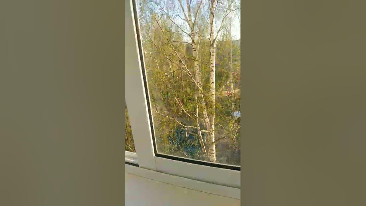 погода в Ухте #Ухта - YouTube