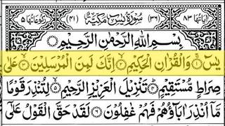 🔴 Live Surah Yasin Recitation|yasin full Recitation | EP 01