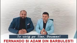 Fernando si Adam din Barbulesti- Te strig pe tine Doamne/ Nou 2023