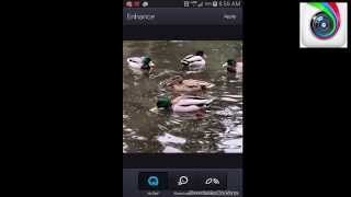 Aviary Photo App Review & How To Use The Aviary Photo Editor Aviary Photo App Review & How To Use The Aviary Photo Editor