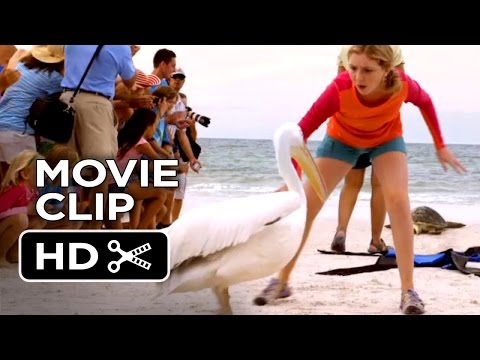 Dolphin Tale 2 Movie CLIP - Shoo Rufus (2014) - Morgan Freeman Dolphin Drama HD