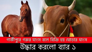 RAB 1 recovers 5 dead animals and 37 sick animals