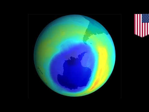 Ozone layer: Ozone hole over Antarctica shrinks to smallest since 1988 - TomoNews