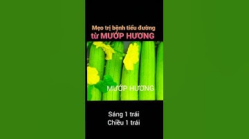 Mẹo sử dụng MƯỚP HƯƠNG trị bệnh tiểu đường hiệu quả.