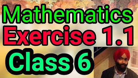 Class 6, Mathematics, Exercise 1.1