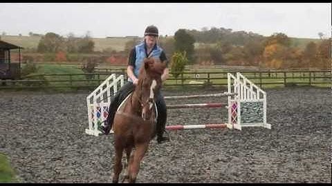 Flora Harris sharpens Bobs