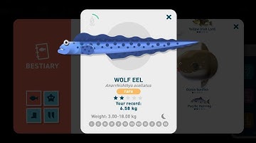 Creatures of the Deep - Wolf Eel - Location วิธีตก Wolf Eel และตำแหน่ง