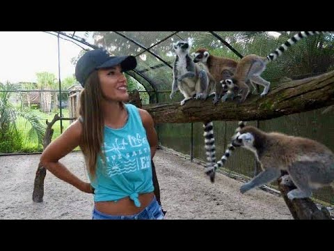 LEMUR Encounter at Giraffe Ranch @FishingwithLuiza