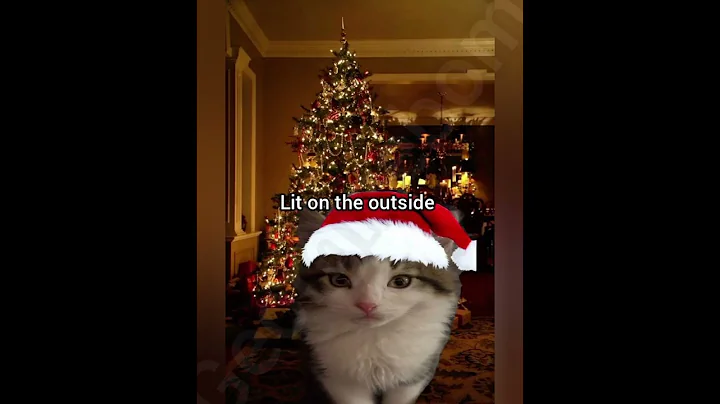 I'm a Christmas tree #cat #georgieebom #funny #fyp #meme