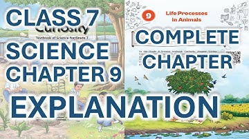 Class 7 Science Chapter 9 | Life Processes in Animals | CBSE NCERT New
