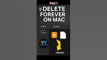 Delete Files Permanently on Mac Stop Wasting Space! (Beginner