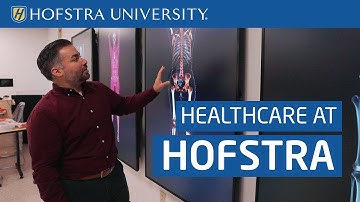 Why Study with Health Professionals at Hofstra | INTO