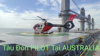 Tàu Đón PILOT Tại AUSTRALIA _YouTuBe