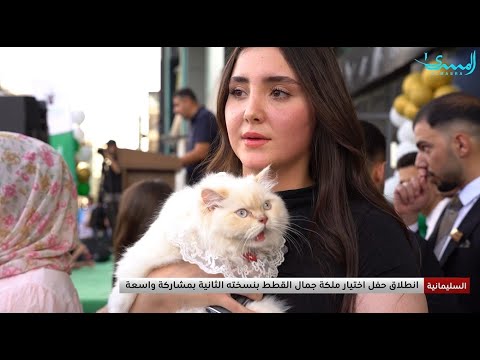 انطلاق النسخة الثانية من حفل ملكة جمال القطط في السليمانية بمشاركة واسعة تغطية حسان معن