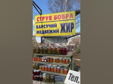 Что такое Струя Бобра и сколько стоит - YouTube