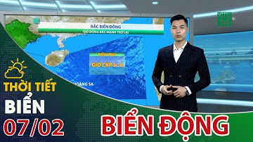 Thời tiết biển 07/02/2022: Gió Đông Bắc mạnh dần, biển động trở lại| VTC14