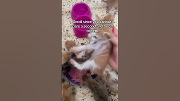 💔Link in our channel description to donate. Every pledge matters.