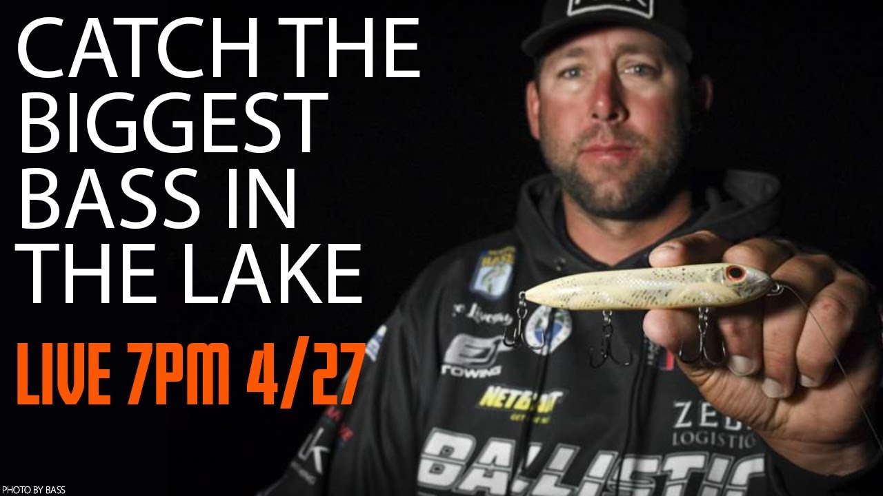 How to Catch the Biggest Bass in the Lake with Lee Livesay - YouTube