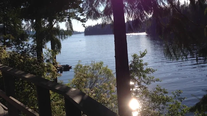 Cabin Video