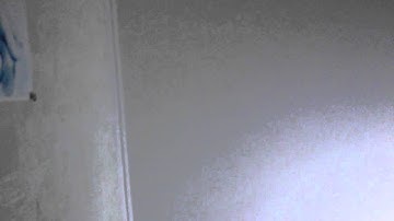 Евгений Сафронов и Анатолий Евгеньевич