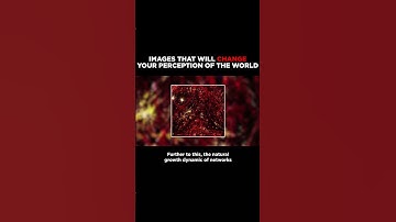 The Universe is like a Giant Human Brain #shorts